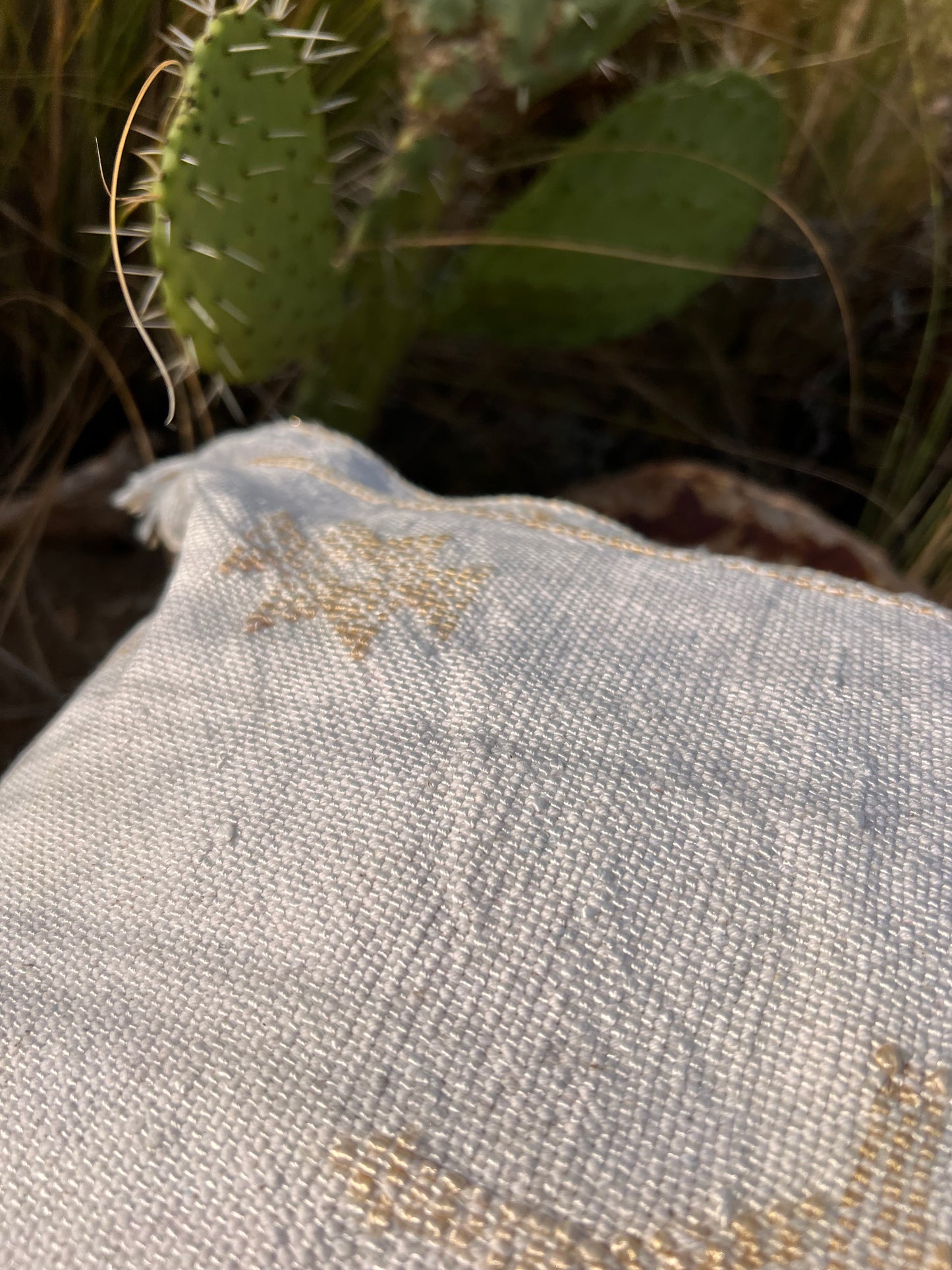 Coussin Sabra en soie de cactus 50cm/50cm Sable